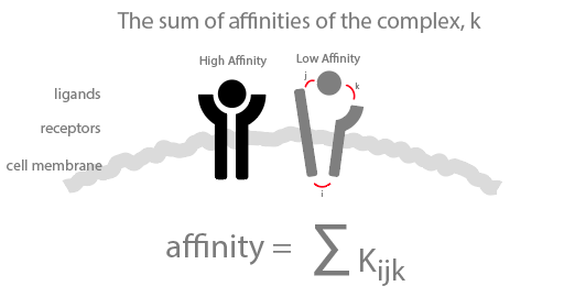 Calculate affinities