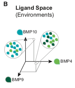 Figure 1B