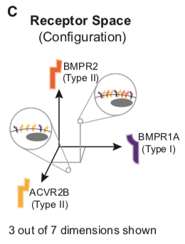 Figure 1C